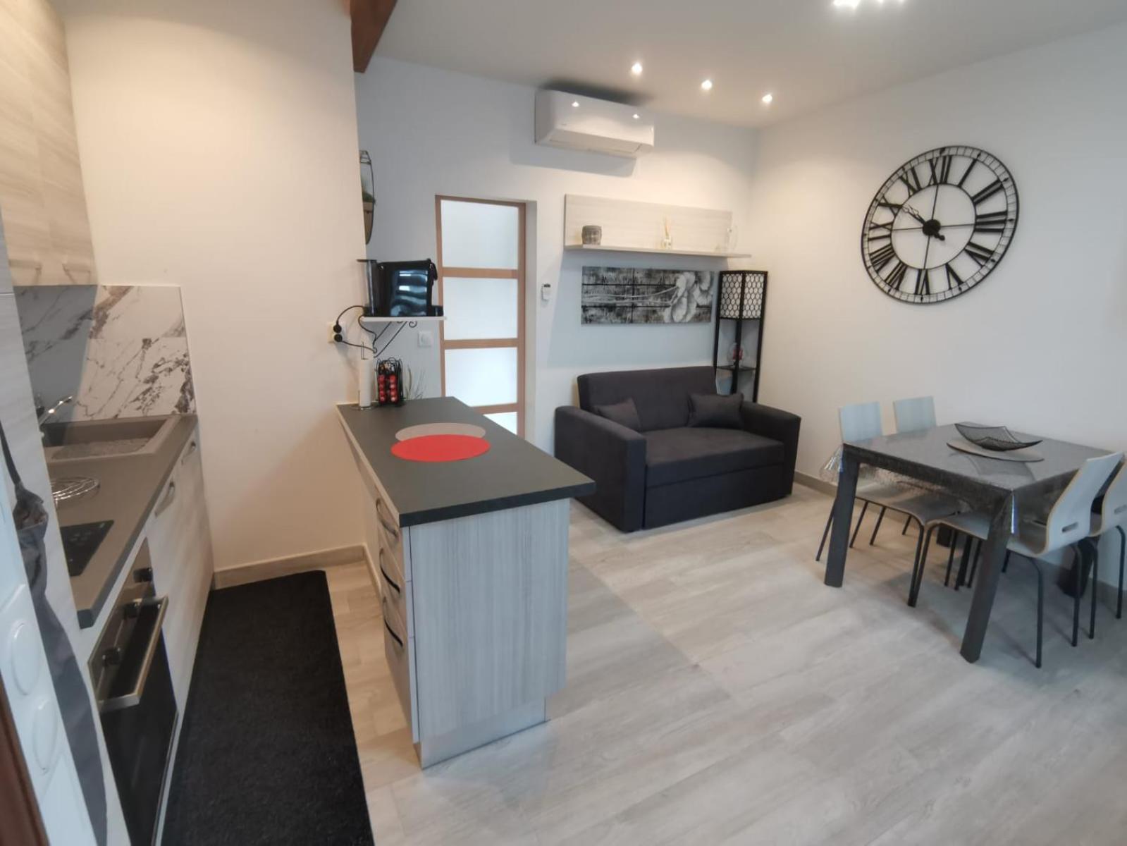 Apartment Coquet 2 Pieces Entierement Renove Et Climatise